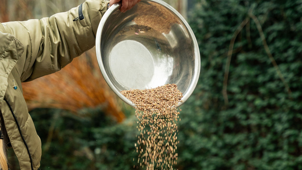 Cleaning your Seeds/Winnowing